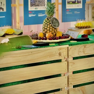 Catering saludable 6