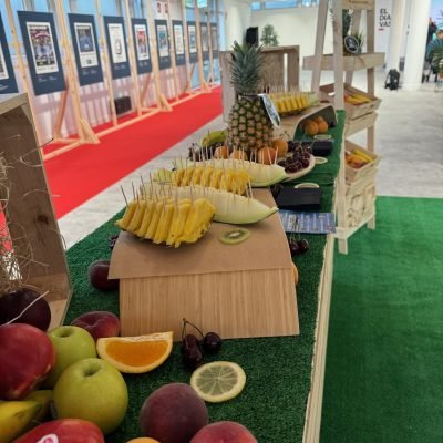 Catering saludable 8